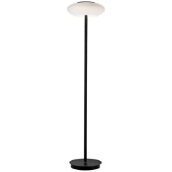 Paul Neuhaus Q-ETIENNE LED vloerlamp, zwart