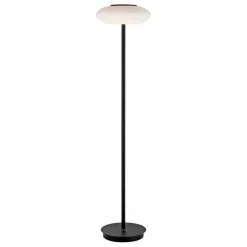 Paul Neuhaus Q-ETIENNE LED vloerlamp, zwart
