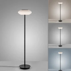 Paul Neuhaus Q-ETIENNE LED vloerlamp, zwart