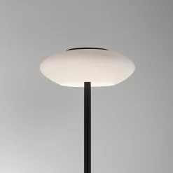 Paul Neuhaus Q-ETIENNE LED vloerlamp, zwart