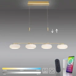 Paul Neuhaus Q-ETIENNE LED hanglamp 4-lamps