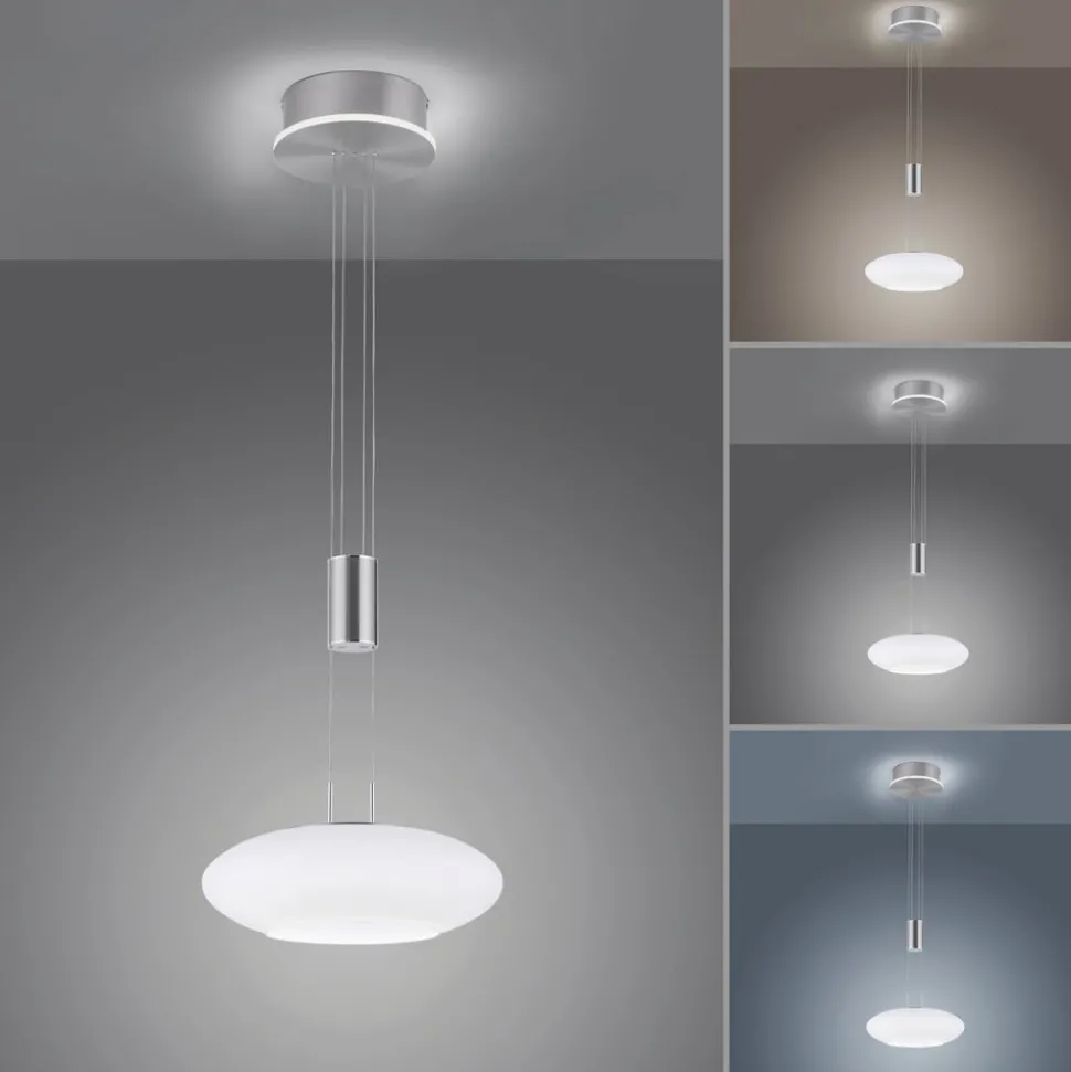 Paul Neuhaus Q-ETIENNE LED hanglamp, 1-lamp