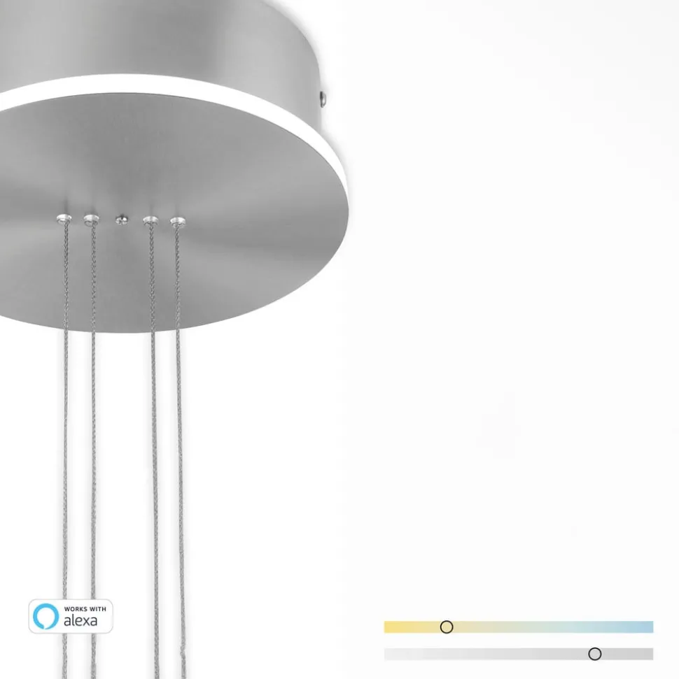 Paul Neuhaus Q-ETIENNE LED hanglamp, 1-lamp