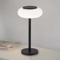 Paul Neuhaus Q-ETIENNE LED tafellamp, zwart