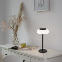 Paul Neuhaus Q-ETIENNE LED tafellamp, zwart