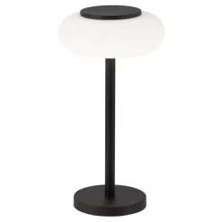 Paul Neuhaus Q-ETIENNE LED tafellamp, zwart