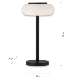 Paul Neuhaus Q-ETIENNE LED tafellamp, zwart