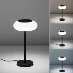 Paul Neuhaus Q-ETIENNE LED tafellamp, zwart