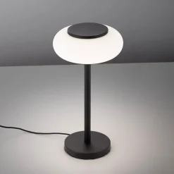 Paul Neuhaus Q-ETIENNE LED tafellamp, zwart