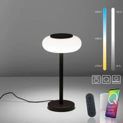 Paul Neuhaus Q-ETIENNE LED tafellamp, zwart