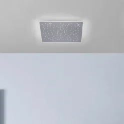 Paul Neuhaus Q-NIGHTSKY, LED plafondlamp, 60x60cm