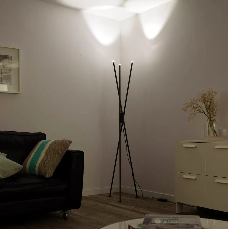 Paul Neuhaus Q-PETER LED vloerlamp, RGB/CCT