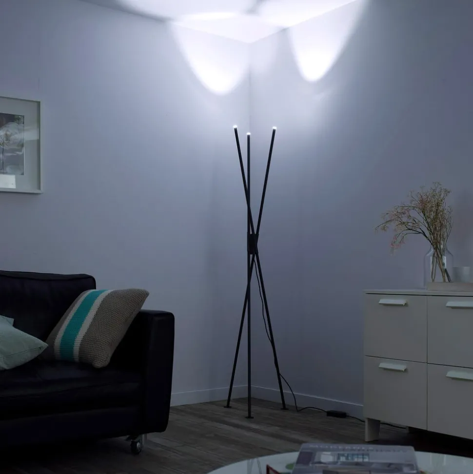 Paul Neuhaus Q-PETER LED vloerlamp, RGB/CCT