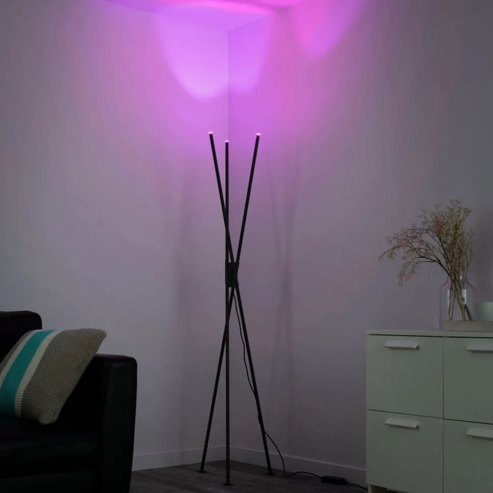 Paul Neuhaus Q-PETER LED vloerlamp, RGB/CCT