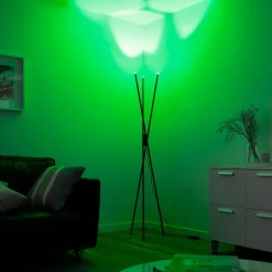 Paul Neuhaus Q-PETER LED vloerlamp, RGB/CCT