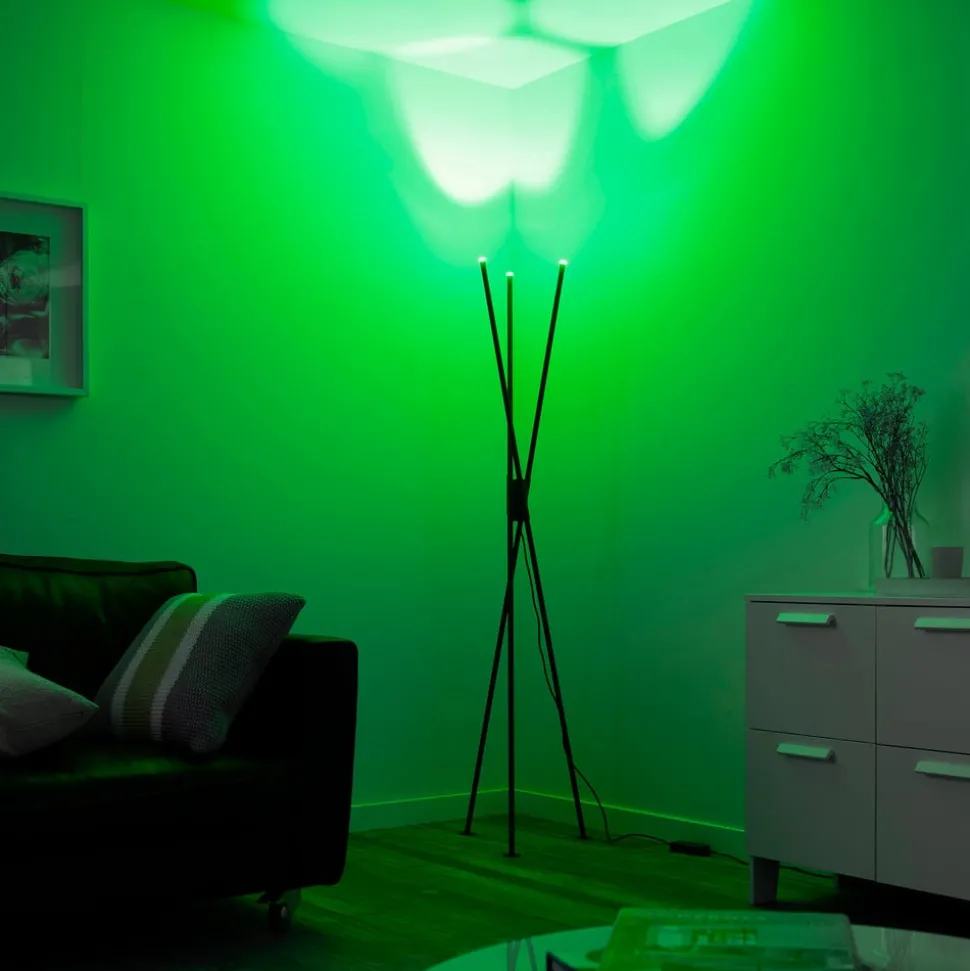 Paul Neuhaus Q-PETER LED vloerlamp, RGB/CCT