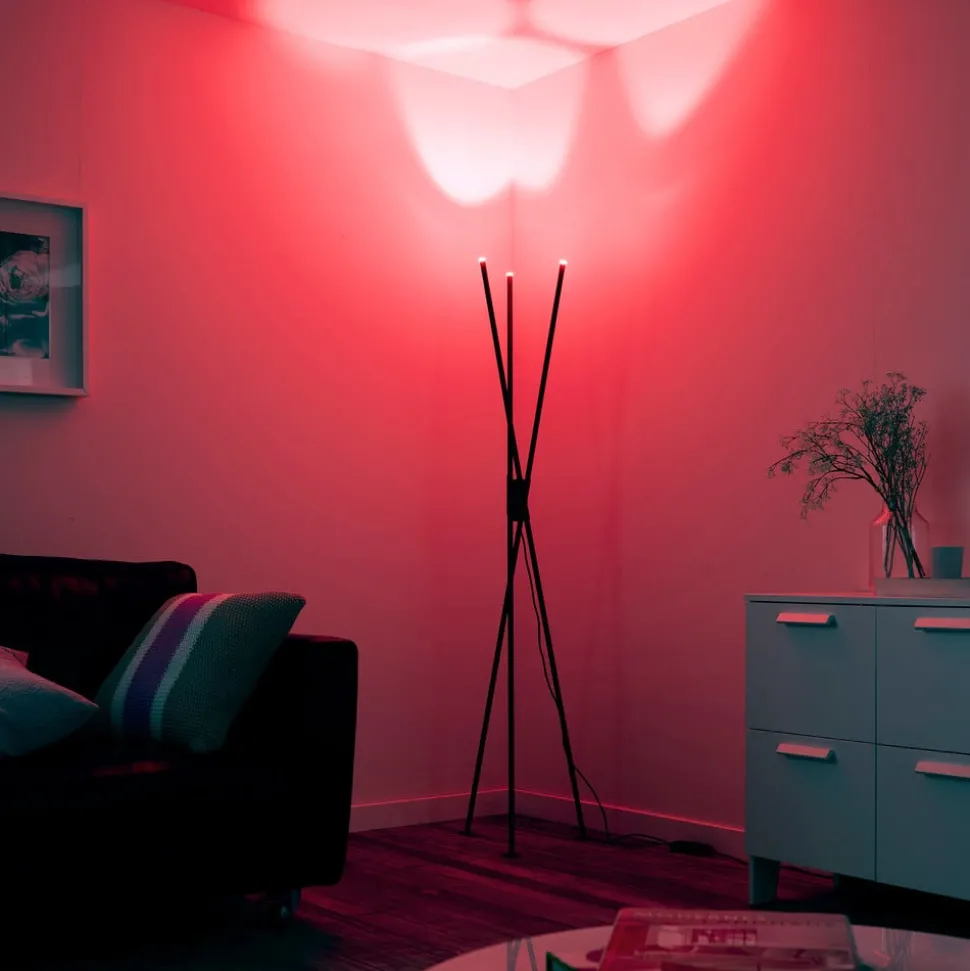 Paul Neuhaus Q-PETER LED vloerlamp, RGB/CCT