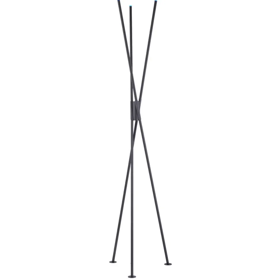 Paul Neuhaus Q-PETER LED vloerlamp, RGB/CCT