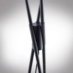 Paul Neuhaus Q-PETER LED vloerlamp, RGB/CCT