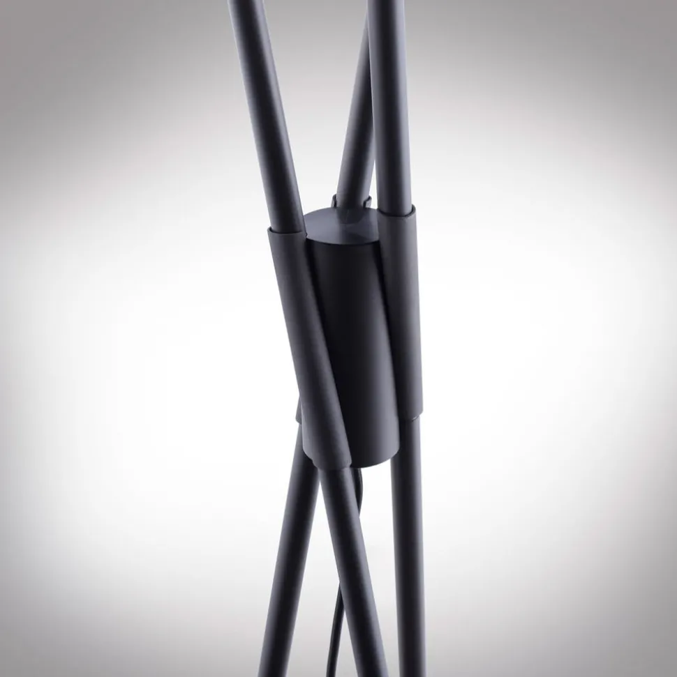 Paul Neuhaus Q-PETER LED vloerlamp, RGB/CCT