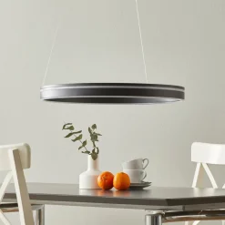 Paul Neuhaus Q-VITO LED hanglamp 59cm antraciet