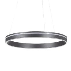 Paul Neuhaus Q-VITO LED hanglamp 59cm antraciet