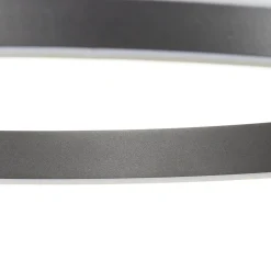 Paul Neuhaus Q-VITO LED hanglamp 59cm antraciet