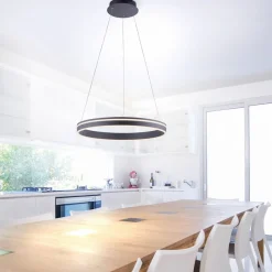 Paul Neuhaus Q-VITO LED hanglamp 59cm antraciet