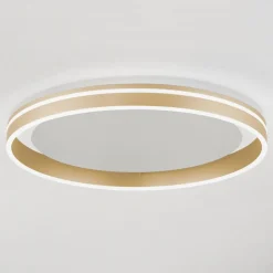 Paul Neuhaus Q-VITO LED plafondlamp, Ø 60cm
