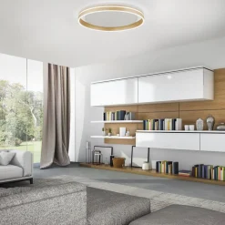 Paul Neuhaus Q-VITO LED plafondlamp, Ø 60cm