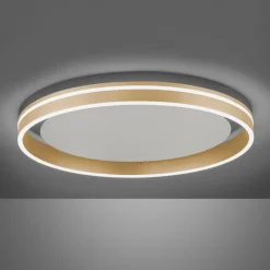 Paul Neuhaus Q-VITO LED plafondlamp, Ø 60cm