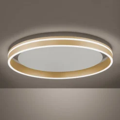 Paul Neuhaus Q-VITO LED plafondlamp, Ø 60cm