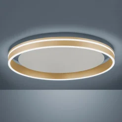 Paul Neuhaus Q-VITO LED plafondlamp, Ø 60cm