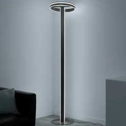 Paul Neuhaus Q-VITO LED vloerlamp, antraciet