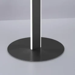 Paul Neuhaus Q-VITO LED vloerlamp, antraciet