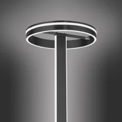 Paul Neuhaus Q-VITO LED vloerlamp, antraciet