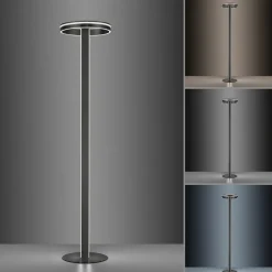 Paul Neuhaus Q-VITO LED vloerlamp, antraciet