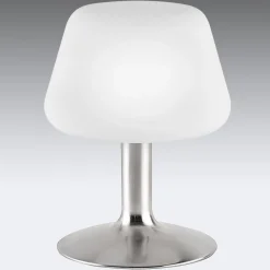 Paul Neuhaus Till tafellamp, staalkleurig, glas, dimbaar