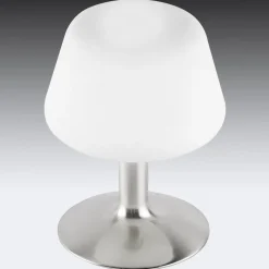 Paul Neuhaus Till tafellamp, staalkleurig, glas, dimbaar