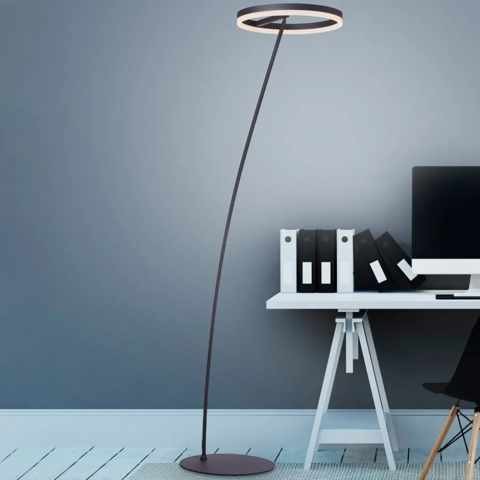 Paul Neuhaus Titus LED vloerlamp antraciet dimmer