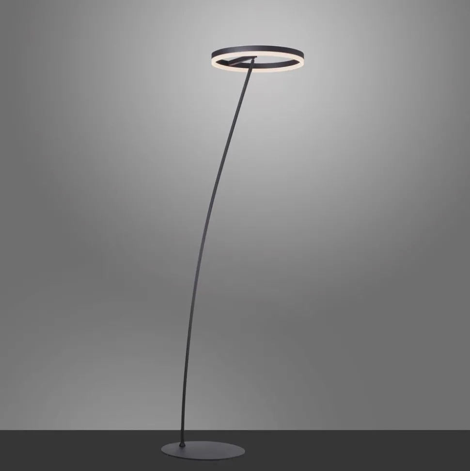 Paul Neuhaus Titus LED vloerlamp antraciet dimmer