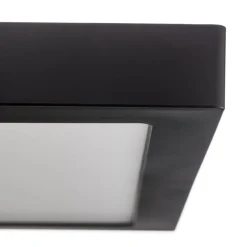 Paulmann Abia LED paneel 30x30 cm 2.700K zwart