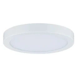Paulmann Abia LED paneel Ø 30cm 4.000K wit