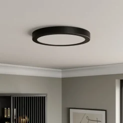 Paulmann Abia LED paneel Ø 30cm 2.700K mat zwart