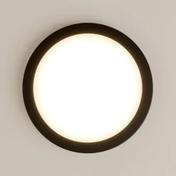 Paulmann Abia LED paneel Ø 30cm 2.700K mat zwart