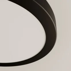 Paulmann Abia LED paneel Ø 30cm 2.700K mat zwart