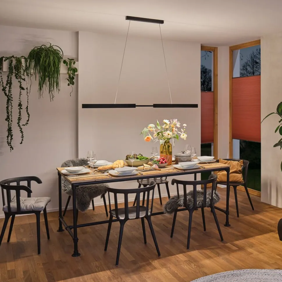 Paulmann Aptare LED hanglamp, ZigBee, zwart