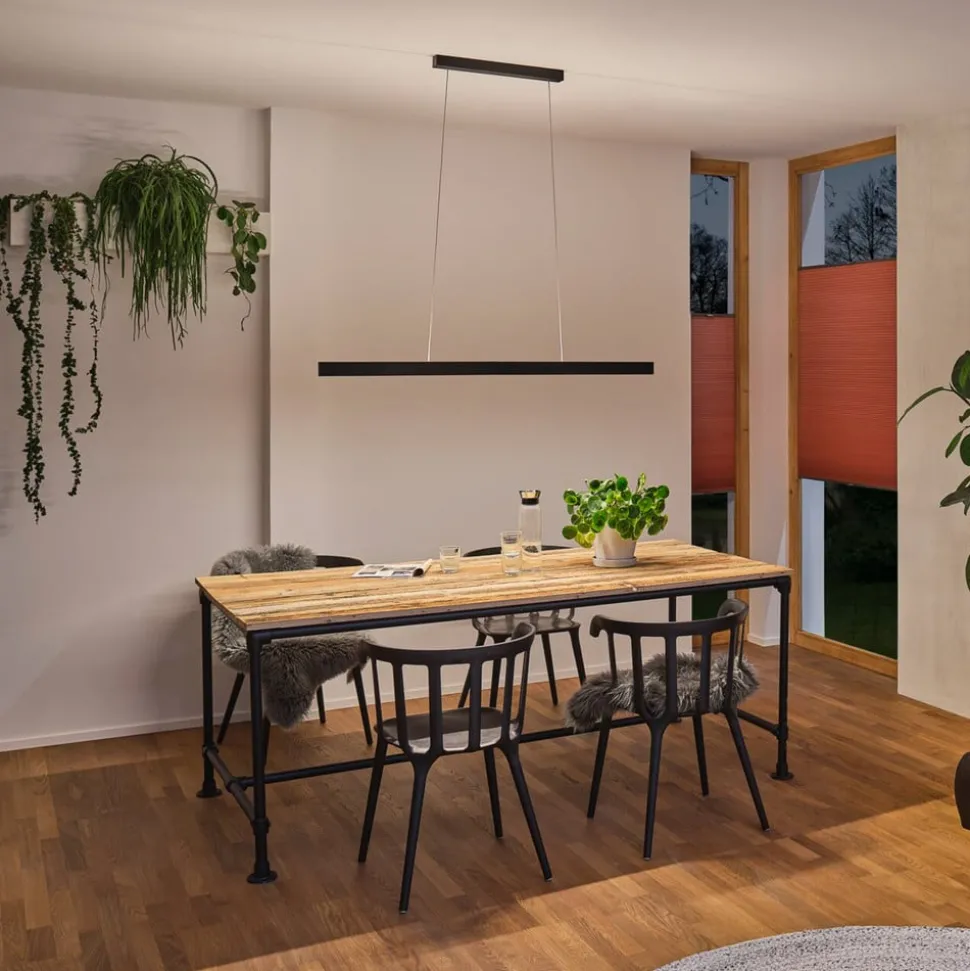 Paulmann Aptare LED hanglamp, ZigBee, zwart