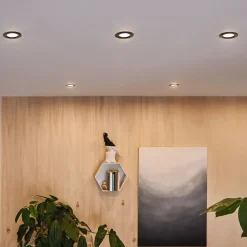 Paulmann Calla, zwart draaibaar 4.000K niet dimbaar 10s