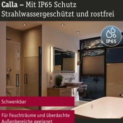 Paulmann Calla, zwart draaibaar 4.000K niet dimbaar 10s